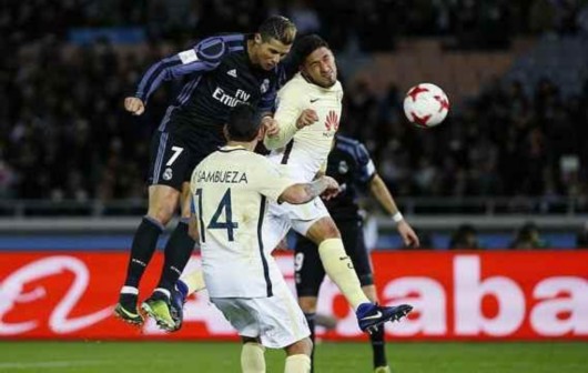 据证明了自 据证明了自